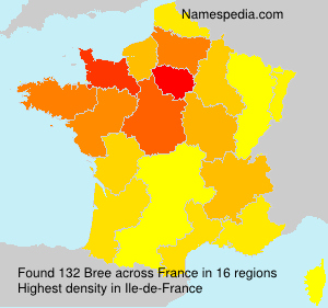 Surname Bree in France Surname Bree in France