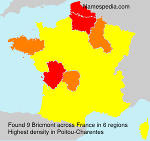 Bricmont Bricmont