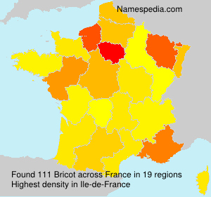 Bricot Bricot