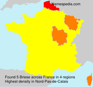 Surname Briese in France Surname Briese in France