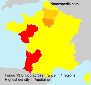 Brinco Brinco