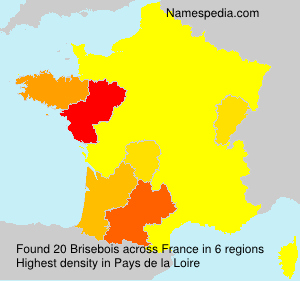 Surname Brisebois in France Surname Brisebois in France