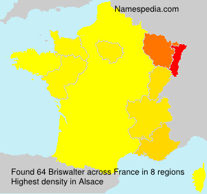 Surname Briswalter in France
