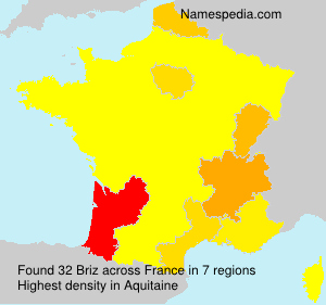 Surname Briz in France Surname Briz in France