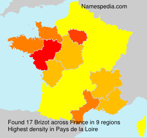 Surname Brizot in France