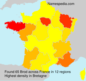 Surname Brod in France Surname Brod in France