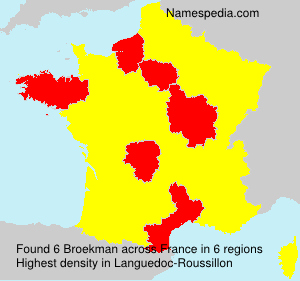 Surname Broekman in France Surname Broekman in France