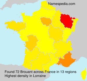 Surname Brouant in France Surname Brouant in France