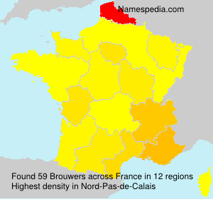 Surname Brouwers in France Surname Brouwers in France