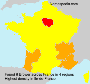 Surname Brower in France Surname Brower in France