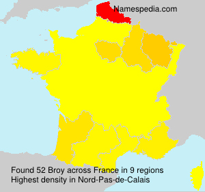 Surname Broy in France Surname Broy in France