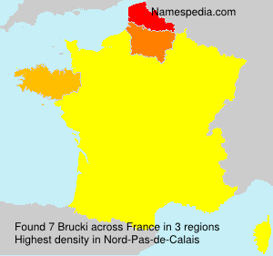 Brucki Brucki