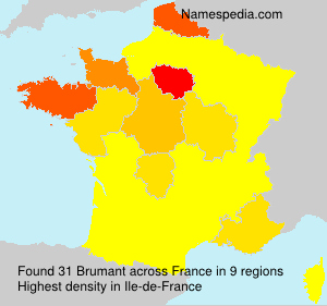 Surname Brumant in France Surname Brumant in France