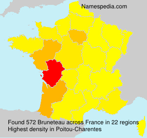 Bruneteau Bruneteau