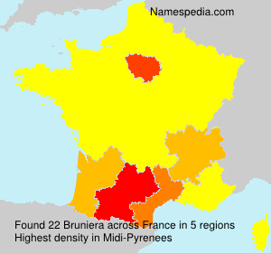 Surname Bruniera in France Surname Bruniera in France