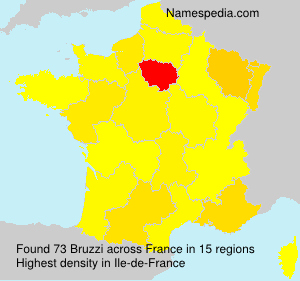 Surname Bruzzi in France Surname Bruzzi in France