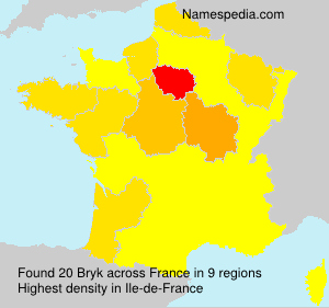 Surname Bryk in France Surname Bryk in France