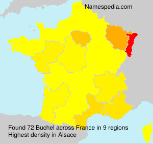 Buchel Buchel