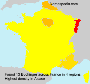 Surname Buchinger in France Surname Buchinger in France