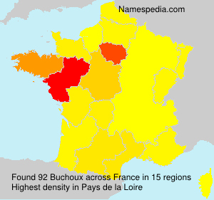 Surname Buchoux in France Surname Buchoux in France