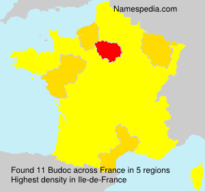 Surname Budoc in France Surname Budoc in France