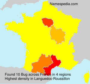 Surname Bug in France Surname Bug in France