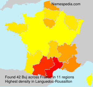 Surname Buj in France Surname Buj in France