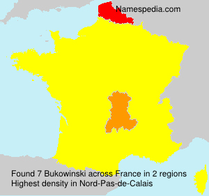 Surname Bukowinski in France Surname Bukowinski in France