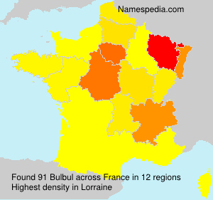 Bulbul Bulbul