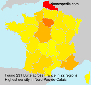 Surname Bulte in France Surname Bulte in France