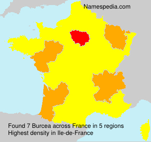 Surname Burcea in France Surname Burcea in France