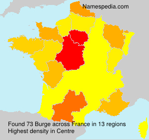 Surname Burge in France Surname Burge in France