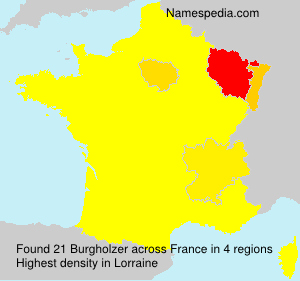 Surname Burgholzer in France
