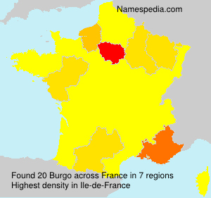 Surname Burgo in France Surname Burgo in France
