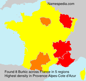 Surname Burkic in France Surname Burkic in France