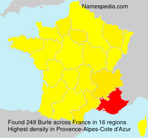 Surname Burle in France Surname Burle in France