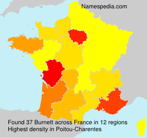 Surname Burnett in France
