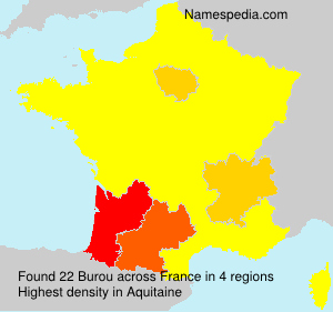 Surname Burou in France