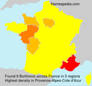 Burtinovic Burtinovic