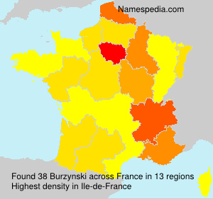 Surname Burzynski in France Surname Burzynski in France