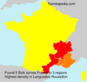 Surname Bzik in France