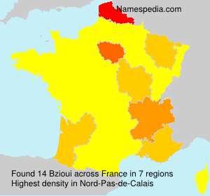 Surname Bzioui in France