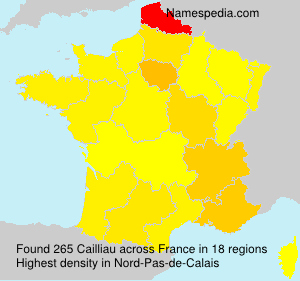 Surname Cailliau in France Surname Cailliau in France
