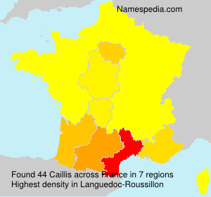 Surname Caillis in France Surname Caillis in France