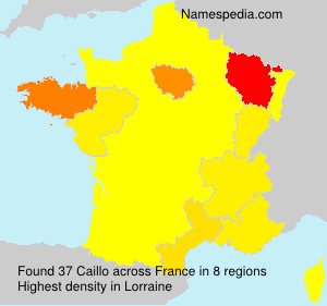 Surname Caillo in France