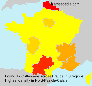 Surname Callenaere in France