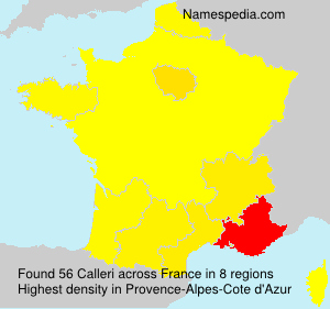 Surname Calleri in France
