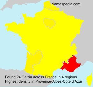Surname Calzia in France