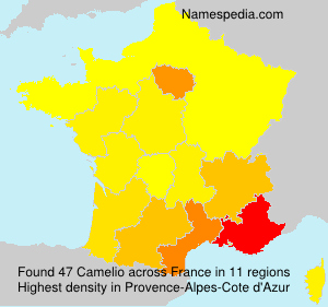 Surname Camelio in France Surname Camelio in France