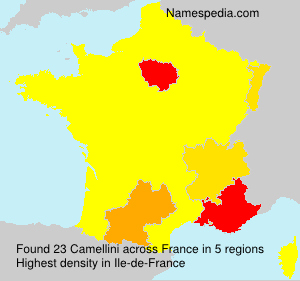 Surname Camellini in France Surname Camellini in France